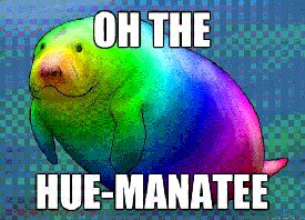 Rating: Safe Score: 0 Tags: ambiguous_gender animated animated_gif aquatic e621 english_text epilepsy_warning feral hue_manatee humor image_macro impact_(font) low_res mammal manatee meme pun rainbow reaction_image short_playtime sirenian solo text visual_pun User: bunchy7s Rating: Safe Score: 0 Tags: ambiguous_gender animated animated_gif aquatic e621 english_text epilepsy_warning feral hue_manatee humor image_macro impact_(font) low_res mammal manatee meme pun rainbow reaction_image short_playtime sirenian solo text visual_pun User: bunchy7s
