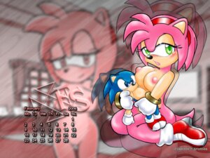 Rating: Explicit Score: 0 Tags: amy_rose anthro blush breasts calendar_(medium) color female female_only forbidden_studios fur furry furry_only green_eyes hedgehog kneeling nipples nude pink_hair rule34 short_hair sitting solo sonic_(series) sonic_the_hedgehog uncensored User: bunchy7s