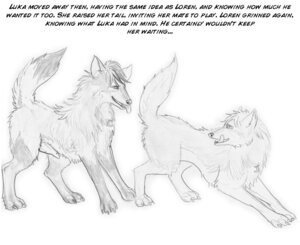 Rating: Explicit Score: 0 Tags: animal_genitalia animal_penis arania butt canid canine canine_genitalia canine_penis canis duo e621 english_text erection female feral genitals knot male mammal monochrome nude penis presenting presenting_hindquarters quadruped tail text wolf User: bunchy7s