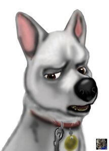 Rating: Safe Score: 0 Tags: akiak bolt_(bolt) bolt_(film) canid canine canis collar disney domestic_dog e621 feral fur german_shepherd herding_dog leash male mammal pastoral_dog solo white_body white_fur User: bunchy7s