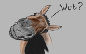 Rating: Safe Score: 0 Tags: ambiguous_gender brown_body brown_eyes brown_fur detailed e621 english_text equid equine feral fur gdane grey_background head_tilt horse looking_at_viewer mammal multicolored_body multicolored_fur reaction_image realistic simple_background solo text what User: bunchy7s