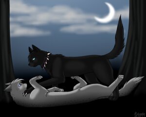 Rating: Questionable Score: 0 Tags: 2011 5:4 ambiguous_feral ambiguous_gender ashfur_(thunderclan) black_body black_fur blue_sclera bone bone_necklace claws cloud collar crescent_moon detailed_background digital_drawing_(artwork) digital_media_(artwork) domestic_cat dominant duo e621 eye_contact felid feline felis feral feral_on_feral forest freckles fur grey_body grey_fur jewelry korcika light looking_at_another lying male_(lore) mammal moon moonlight necklace night on_back outside plant scourge_(warriors) shaded sky soft_shading spiked_collar spikes submissive tail tree warriors_(book_series) white_claws User: bunchy7s