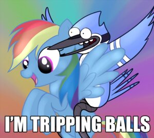 Rating: Safe Score: 0 Tags: 2011 abstract_background anthro avian beak biped bird black_beak black_body black_feathers black_skin blue_body blue_eyes blue_feathers blue_fur blue_hair blue_jay cartoon_network corvid crossover duo e621 english_text equid equine feathered_wings feathers female feral friendship_is_magic fur hair hasbro hooves jay_(bird) male mammal mordecai_(regular_show) multicolored_body multicolored_feathers multicolored_hair multicolored_tail my_little_pony mythological_creature mythological_equine mythology new_world_jay open_mouth oscine passerine pegasus psychedelic purple_eyes quadruped rainbow_dash_(mlp) rainbow_hair rainbow_tail regular_show riding simple_background sitting smile standing syynx tail teeth text toothed_beak tripping_balls white_body white_feathers wide_eyed wings User: bunchy7s Rating: Safe Score: 0 Tags: 2011 abstract_background anthro avian beak biped bird black_beak black_body black_feathers black_skin blue_body blue_eyes blue_feathers blue_fur blue_hair blue_jay cartoon_network corvid crossover duo e621 english_text equid equine feathered_wings feathers female feral friendship_is_magic fur hair hasbro hooves jay_(bird) male mammal mordecai_(regular_show) multicolored_body multicolored_feathers multicolored_hair multicolored_tail my_little_pony mythological_creature mythological_equine mythology new_world_jay open_mouth oscine passerine pegasus psychedelic purple_eyes quadruped rainbow_dash_(mlp) rainbow_hair rainbow_tail regular_show riding simple_background sitting smile standing syynx tail teeth text toothed_beak tripping_balls white_body white_feathers wide_eyed wings User: bunchy7s