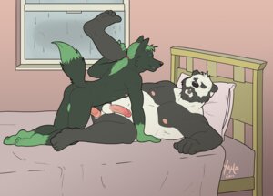 Rating: Explicit Score: 0 Tags: 2011 4_toes anal anal_penetration anthro anthro_on_anthro anthro_penetrated anthro_penetrating anthro_penetrating_anthro backsack balls bear beard bed belly black_body black_fur bodily_fluids butt canid canine canis cum curling_toes dipstick_tail duo e621 erection eyes_closed facial_hair feet fur furniture genital_fluids genitals giant_panda green_body green_fur hair hindpaw humanoid_feet humanoid_genitalia humanoid_penis inside larger_male larger_penetrated larger_sub long_hair looking_pleasured male male/male male_penetrated male_penetrating male_penetrating_male mammal markings moan multicolored_body multicolored_fur musclegut muscular nipples nude on_bed open_mouth paws pecs penetration penile penile_penetration penis plantigrade raining sex size_difference slightly_chubby small_top_big_bottom smaller_male soles submissive tail tail_markings toes two_tone_body two_tone_fur white_body white_fur wolf wolfyama User: bunchy7s