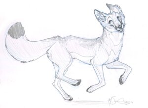 Rating: Safe Score: 0 Tags: 2014 binaryfox black_nose canid canine cheek_tuft dipstick_tail e621 facial_tuft feral fluffy fluffy_tail fox guide_lines idess inner_ear_fluff looking_away male mammal markings pawpads pointy_ears prick_ears running sketch smile solo tail tail_markings tuft whiskers User: bunchy7s Rating: Safe Score: 0 Tags: 2014 binaryfox black_nose canid canine cheek_tuft dipstick_tail e621 facial_tuft feral fluffy fluffy_tail fox guide_lines idess inner_ear_fluff looking_away male mammal markings pawpads pointy_ears prick_ears running sketch smile solo tail tail_markings tuft whiskers User: bunchy7s