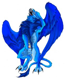 Rating: Explicit Score: 0 Tags: eyrie male male_only neopets rule34 tagme User: bunchy7s Rating: Explicit Score: 0 Tags: eyrie male male_only neopets rule34 tagme User: bunchy7s