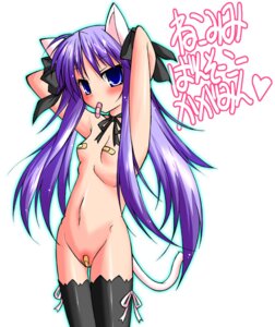 Rating: Explicit Score: 0 Tags: animal_ears armpits bandaid bandaid_on_pussy bandaids_on_nipples blue_eyes cat_ears cat_tail female kagami_hiiragi long_hair lucky_star maebari mouth_hold partially_visible_vulva pasties purple_hair pussy ribbon ribbons rule34 tail text thighhighs tied_hair translated twintails User: bunchy7s