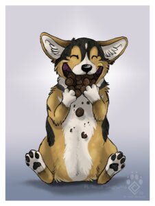 Rating: Safe Score: 0 Tags: 2010 border brown_body brown_fur canid canine canis cookie domestic_dog e621 eating female feral food fur happy herding_dog idess mammal messy pastoral_dog pawpads smile solo welsh_corgi white_border User: bunchy7s Rating: Safe Score: 0 Tags: 2010 border brown_body brown_fur canid canine canis cookie domestic_dog e621 eating female feral food fur happy herding_dog idess mammal messy pastoral_dog pawpads smile solo welsh_corgi white_border User: bunchy7s