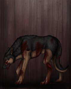 Rating: Questionable Score: 0 Tags: abuse ambiguous_gender animal_abuse avenegeus blood bodily_fluids canid canine canis domestic_dog e621 feral german_shepherd gore herding_dog mammal pain pastoral_dog quadruped scratch solo tail wounded User: bunchy7s