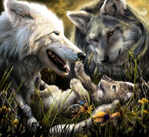 Rating: Safe Score: 0 Tags: 2008 ambiguous_gender anklet armlet black_lips black_nose blue_eyes bracelet canid canine canis claws colored detailed detailed_background digital_media_(artwork) digital_painting_(artwork) digitigrade e621 ears_back eye_contact family feet feral flower fur good_parenting grass grey_body grey_fur grey_hair group hair hindpaw inner_ear_fluff jewelry lips long_mouth looking_at_another lying mammal mythological_canine mythological_creature mythology necklace no_sclera novawuff on_back open_mouth outside painting_(artwork) pawpads paws photorealism pivoted_ears plant realistic shaded signature snout teeth tongue tuft werecanid werecanine werecreature werewolf werewolf_calendar whiskers white_body white_fur wolf yellow_eyes young young_ambiguous young_feral User: bunchy7s