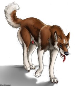 Rating: Explicit Score: 0 Tags: animal_genitalia animal_penis blackteagan canid canine canine_genitalia canine_penis canis digitigrade domestic_dog e621 feral genitals male mammal penis penis_tip quadruped sheath solo tail User: bunchy7s Rating: Explicit Score: 0 Tags: animal_genitalia animal_penis blackteagan canid canine canine_genitalia canine_penis canis digitigrade domestic_dog e621 feral genitals male mammal penis penis_tip quadruped sheath solo tail User: bunchy7s