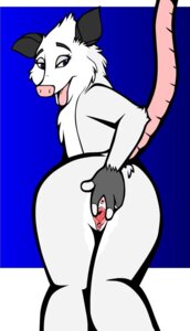 Rating: Explicit Score: 0 Tags: added_anatomy american_opossum anthro anus butt clitoris dreamworks e621 female female_urethra genitals heather_(over_the_hedge) looking_at_viewer looking_back mammal marsupial naturally_unclothed nude over_the_hedge presenting presenting_hindquarters raised_tail rear_view solo spread_vulva spreading tail toonpimp urethra virginia_opossum vulva User: bunchy7s