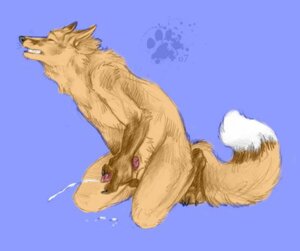 Rating: Explicit Score: 0 Tags: anthro blotch canine canine_penis cum fox fur furry male male_only masturbation norse-mischief penis rule34 solo User: bunchy7s
