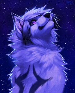 Rating: Safe Score: 0 Tags: 2013 4:5 ambiguous_gender anthro black_markings canid canine canis cool_colors digital_media_(artwork) e621 ear_markings facial_markings falvie fluffy fur gradient_hair hair head_markings looking_up mammal markings night outside purple_body purple_eyes purple_fur signature sky smile solo star wolf User: bunchy7s