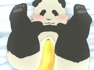 Rating: Questionable Score: 0 Tags: 2012 4:3 banana bear blush bodily_fluids e621 feral food food_fetish fruit giant_panda kemono kumao looking_at_viewer male mammal okatana panda-kun plant shirokuma_cafe smile solo suggestive suggestive_food sweat sweatdrop User: bunchy7s