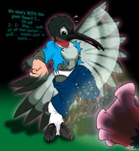 Rating: Safe Score: 0 Tags: 2012 ambiguous_gender anthro apodiform avian beak bird bottomwear catmonkshiro clothing e621 feathered_wings feathers feet flower footwear human human_to_anthro hummingbird legwear mammal nectar pants plant ruby-throated_hummingbird shirt socks solo species_transformation talons toes topwear torn_clothing transformation underwear wings User: bunchy7s
