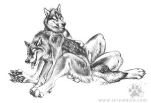 Rating: Explicit Score: 0 Tags: 2007 anatomically_correct anatomically_correct_genitalia anatomically_correct_penis animal_genitalia animal_penis anthro balls blotch canid canine canine_genitalia canine_penis canis claws domestic_dog duo e621 genitals greyscale male male/male mammal monochrome pawpads paws penis penis_tip pointy_ears prick_ears romantic romantic_couple scratches_volume_1 sheath simple_background sitting tail toe_claws tongue tongue_out traditional_media_(artwork) wolf User: bunchy7s Rating: Explicit Score: 0 Tags: 2007 anatomically_correct anatomically_correct_genitalia anatomically_correct_penis animal_genitalia animal_penis anthro balls blotch canid canine canine_genitalia canine_penis canis claws domestic_dog duo e621 genitals greyscale male male/male mammal monochrome pawpads paws penis penis_tip pointy_ears prick_ears romantic romantic_couple scratches_volume_1 sheath simple_background sitting tail toe_claws tongue tongue_out traditional_media_(artwork) wolf User: bunchy7s