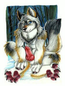Rating: Explicit Score: 0 Tags: 2011 animal_genitalia animal_penis anthro biped black_body black_fur black_nose blue_eyes brown_body brown_fur canid canine canine_genitalia canine_penis canis chest_tuft claws detailed_background dipstick_tail e621 erection feet fluffy forest fur genitals hindpaw inuki knot looking_at_viewer male mammal markings night nude outside pawpads paws penis plant presenting sitting smile solo spread_legs spreading tail tail_markings tree tuft white_body white_fur wolf wood User: bunchy7s