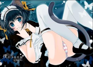 Rating: Explicit Score: 0 Tags: animal_ears apron black_dress black_hair blue_eyes blush cat_ears cat_tail dress female maid maid_headdress mary_janes panties petticoat pink_panties ribbon rule34 shoes short_hair striped striped_panties tail thighhighs underwear white_legwear white_thighhighs wrist_cuffs User: bunchy7s Rating: Explicit Score: 0 Tags: animal_ears apron black_dress black_hair blue_eyes blush cat_ears cat_tail dress female maid maid_headdress mary_janes panties petticoat pink_panties ribbon rule34 shoes short_hair striped striped_panties tail thighhighs underwear white_legwear white_thighhighs wrist_cuffs User: bunchy7s