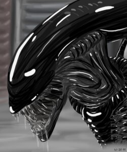 Rating: Safe Score: 0 Tags: 2012 alien alien_(franchise) ambiguous_gender black_body bodily_fluids cheek_window dj-91 drooling e621 exoskeleton eyeless open_mouth saliva solo teeth xenomorph User: bunchy7s