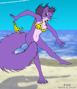 Rating: Questionable Score: 0 Tags: 2013 amethyst_du_sciur anthro barefoot beach bikini bikini_removed biped bottomless breasts brown_eyes censored claws clothed clothing cloud convenient_censorship cybercorn_entropic detailed_background e621 feet female fur hair mammal open_mouth outside purple_body purple_fur purple_hair rodent sand sciurid sea seaside sky solo swimwear swimwear_removed tail tail_censorship tight_clothing toe_claws toes tree_squirrel two-piece_swimsuit wardrobe_malfunction water whiskers User: bunchy7s