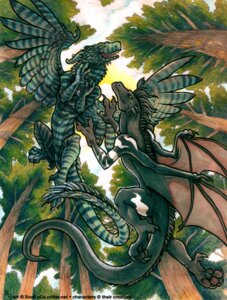 Rating: Safe Score: 0 Tags: 2009 ambiguous_gender avian detailed_background dragon duo e621 feathered_dragon feathered_scalie feathered_wings feathers feral flying forest green_theme jungle low-angle_view mythological_creature mythological_scalie mythology nature oce outside plant scalie tail tree wings wood worm's-eye_view User: bunchy7s Rating: Safe Score: 0 Tags: 2009 ambiguous_gender avian detailed_background dragon duo e621 feathered_dragon feathered_scalie feathered_wings feathers feral flying forest green_theme jungle low-angle_view mythological_creature mythological_scalie mythology nature oce outside plant scalie tail tree wings wood worm's-eye_view User: bunchy7s