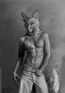 Rating: Safe Score: 0 Tags: 2012 anthro biped bottomwear canid canine clothed clothing cocked_hip denim denim_bottomwear denim_clothing e621 eosfoxx fox front_view fur grey_theme greyscale jaryic jeans looking_at_viewer male mammal monochrome nude pants realistic solo standing tail topless whiskers User: bunchy7s
