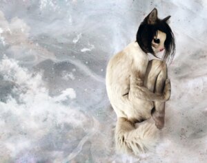 Rating: Safe Score: 0 Tags: ambiguous_gender anthro black_hair cloud curled_up detailed_background e621 felid fur hair mammal nude realistic solo tail unknown_artist white_body white_fur User: bunchy7s Rating: Safe Score: 0 Tags: ambiguous_gender anthro black_hair cloud curled_up detailed_background e621 felid fur hair mammal nude realistic solo tail unknown_artist white_body white_fur User: bunchy7s