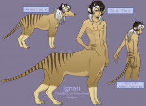 Rating: Questionable Score: 0 Tags: butt claws dasyuromorph digitigrade e621 feral hair hand_on_hip ignasi male mammal marsupial model_sheet multicolored_hair nipples nirebaige nude quadruped recently_extinct_species side_view solo standing stripes tail taur thylacine two_tone_hair User: bunchy7s