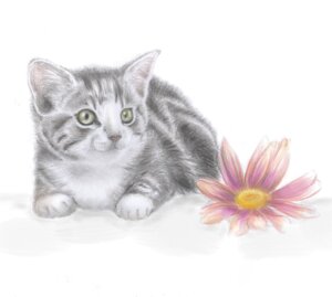 Rating: Safe Score: 0 Tags: ambiguous_gender aster_(flower) domestic_cat e621 felid feline felis feral flower green_eyes hi_res mammal naaby plant solo User: bunchy7s