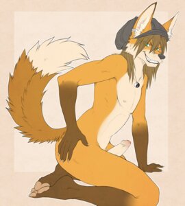 Rating: Explicit Score: 0 Tags: 1boy anthro canine dipper erection fox fur furry hair looking_at_viewer male male_only nude penis pose rule34 solo User: bunchy7s