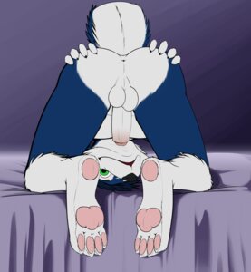 Rating: Explicit Score: 0 Tags: absurd_res anthro anus ass ass_up backsack balls blue blue_body blue_fur butt canid canine canis domestic_dog e621 erection feet foreskin fur genitals hand_on_butt havok hi_res high_resolution hindpaw humanoid_genitalia humanoid_penis husky looking_at_viewer looking_through looking_through_legs male male_only mammal nordic_sled_dog nude partially_retracted_foreskin pawpads paws penis plantigrade presenting presenting_hindquarters rear_view rule34 shiuk solo spitz tail User: bunchy7s Rating: Explicit Score: 0 Tags: absurd_res anthro anus ass ass_up backsack balls blue blue_body blue_fur butt canid canine canis domestic_dog e621 erection feet foreskin fur genitals hand_on_butt havok hi_res high_resolution hindpaw humanoid_genitalia humanoid_penis husky looking_at_viewer looking_through looking_through_legs male male_only mammal nordic_sled_dog nude partially_retracted_foreskin pawpads paws penis plantigrade presenting presenting_hindquarters rear_view rule34 shiuk solo spitz tail User: bunchy7s