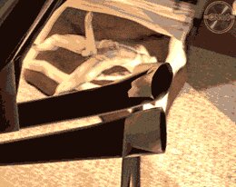 Rating: Explicit Score: 0 Tags: 3d_(artwork) 3d_animation animated animated_gif big_breasts breasts brown_hair digital_media_(artwork) duo e621 erection fellatio female female_penetrated genitals glitch hair high_framerate human humor lara_croft low_res male male/female male_penetrating male_penetrating_female mammal nightmare_fuel not_furry oral oral_penetration penetration penile penile_penetration penis sex short_playtime tomb_raider unknown_artist what why User: bunchy7s Rating: Explicit Score: 0 Tags: 3d_(artwork) 3d_animation animated animated_gif big_breasts breasts brown_hair digital_media_(artwork) duo e621 erection fellatio female female_penetrated genitals glitch hair high_framerate human humor lara_croft low_res male male/female male_penetrating male_penetrating_female mammal nightmare_fuel not_furry oral oral_penetration penetration penile penile_penetration penis sex short_playtime tomb_raider unknown_artist what why User: bunchy7s