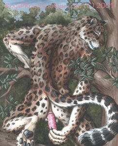 Rating: Explicit Score: 0 Tags: 2001 amur_leopard anal anal_masturbation anal_penetration anthro detailed_background dildo e621 eyes_closed felid forest leopard low_res male mammal masturbation nature outside pantherine paws penetration plant rog_minotaur scenery sex_toy solo spots tail toying_self tree wood User: bunchy7s