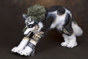 Rating: Safe Score: 0 Tags: beastcub canid canine canis clothing costume e621 feral fursuit grandfathered_content imp link_(wolf_form) male mammal nintendo piercing quadsuit real solo stretching the_legend_of_zelda twilight_princess wolf User: bunchy7s Rating: Safe Score: 0 Tags: beastcub canid canine canis clothing costume e621 feral fursuit grandfathered_content imp link_(wolf_form) male mammal nintendo piercing quadsuit real solo stretching the_legend_of_zelda twilight_princess wolf User: bunchy7s