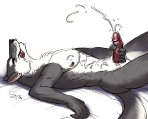 Rating: Explicit Score: 0 Tags: anthro balls biped bodily_fluids canid canine canis claws cum cum_on_self cumshot e621 ejaculation erection eyes_closed genital_fluids genitals guerillasquirrel humanoid_genitalia humanoid_penis lying male mammal masturbation nipples nude orgasm orgasm_face penile penile_masturbation penis solo tongue wolf User: bunchy7s