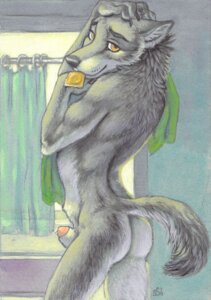 Rating: Explicit Score: 0 Tags: 2010 animal_genitalia anthro bathroom bathtub bedroom_eyes butt canid canine canis condom condom_in_mouth e621 fur genitals grey_body grey_fur inside inviting looking_at_viewer looking_back male mammal mouth_hold narrowed_eyes nude object_in_mouth penis penis_tip seductive sexual_barrier_device sheath shower_curtain solo ssirrus tail towel towel_on_shoulder unused_condom wolf wrapped_condom yellow_eyes User: bunchy7s Rating: Explicit Score: 0 Tags: 2010 animal_genitalia anthro bathroom bathtub bedroom_eyes butt canid canine canis condom condom_in_mouth e621 fur genitals grey_body grey_fur inside inviting looking_at_viewer looking_back male mammal mouth_hold narrowed_eyes nude object_in_mouth penis penis_tip seductive sexual_barrier_device sheath shower_curtain solo ssirrus tail towel towel_on_shoulder unused_condom wolf wrapped_condom yellow_eyes User: bunchy7s