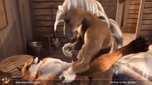 Rating: Explicit Score: 0 Tags: 2011 3d_(artwork) 3d_animation anal anal_penetration animal_genitalia animal_penis animated animated_gif anthro anthro_on_anthro anthro_penetrated anthro_penetrating anthro_penetrating_anthro balls barn biceps canid canine canine_genitalia canine_penis digital_media_(artwork) duo e621 equid equine erection fox from_front_position fur genitals hair handjob handjob_while_penetrating horse interspecies knot larger_anthro larger_male looking_pleasured loop lying male male/male male_penetrated male_penetrating male_penetrating_male mammal muscular muscular_anthro muscular_male muscular_on_average muscular_top nude on_back paul_(taurin_fox) pecs penetration penile penile_penetration penis penis_in_ass romantic romantic_couple sex sheath short_playtime size_difference smaller_anthro smaller_male smaller_penetrated smile spread_legs spreading standing table_lotus_position taurin_fox taurin_fox_(character) User: bunchy7s