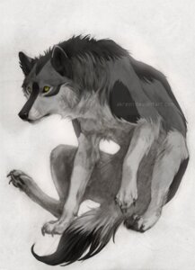 Rating: Safe Score: 0 Tags: 2009 akreon ambiguous_gender black_markings blaze_(marking) canid canine canis claws countershading dipstick_tail e621 facial_markings feral front_view full-length_portrait fur gloves_(marking) graphite_(artwork) grey_body grey_claws grey_fur head_markings leg_markings mammal markings mixed_media multicolored_tail painting_(artwork) paws portrait quadruped simple_background sitting socks_(marking) solo tail tail_markings text three-quarter_view traditional_media_(artwork) traditional_painting_(artwork) traditional_watercolor_(artwork) two_tone_tail unavailable_at_source url watercolor_(artwork) watermark white_background white_body white_countershading white_fur wolf yellow_eyes User: bunchy7s Rating: Safe Score: 0 Tags: 2009 akreon ambiguous_gender black_markings blaze_(marking) canid canine canis claws countershading dipstick_tail e621 facial_markings feral front_view full-length_portrait fur gloves_(marking) graphite_(artwork) grey_body grey_claws grey_fur head_markings leg_markings mammal markings mixed_media multicolored_tail painting_(artwork) paws portrait quadruped simple_background sitting socks_(marking) solo tail tail_markings text three-quarter_view traditional_media_(artwork) traditional_painting_(artwork) traditional_watercolor_(artwork) two_tone_tail unavailable_at_source url watercolor_(artwork) watermark white_background white_body white_countershading white_fur wolf yellow_eyes User: bunchy7s