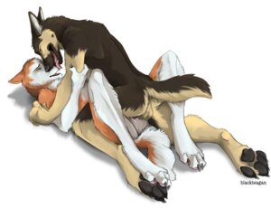 Rating: Explicit Score: 0 Tags: anthro blacktaegan blackteagan canine couple female fur furry german_shepherd husky licking love male marian_(ta-ek) nude raymond_(sidian) rule34 sex straight tongue User: bunchy7s