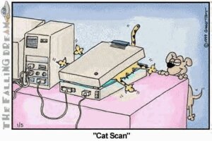 Rating: Safe Score: 0 Tags: 1999 2_frame_animation 2d_animation 3:2 ambiguous_gender animated animated_comic animated_gif canid canine canis cat_scan comic computer domestic_cat domestic_dog duo e621 electronics felid feline felis feral forced greg_tuft_(artist) humor loop low_res mammal pun scan scanner short_playtime tail tail_motion tailwag the_falling_dream visual_pun User: bunchy7s Rating: Safe Score: 0 Tags: 1999 2_frame_animation 2d_animation 3:2 ambiguous_gender animated animated_comic animated_gif canid canine canis cat_scan comic computer domestic_cat domestic_dog duo e621 electronics felid feline felis feral forced greg_tuft_(artist) humor loop low_res mammal pun scan scanner short_playtime tail tail_motion tailwag the_falling_dream visual_pun User: bunchy7s