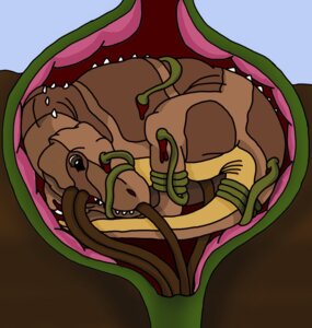 Rating: Explicit Score: 0 Tags: allosaurid allosauroid allosaurus ambiguous_gender blood bodily_fluids corpse death digital_media_(artwork) dinosaur e621 elemental_creature feral flora_fauna forced hard_vore mistydash plant plant_pred prehistoric_species rape reptile saurischian scalie sex solo sucking tail tentacles theropod vore young User: bunchy7s