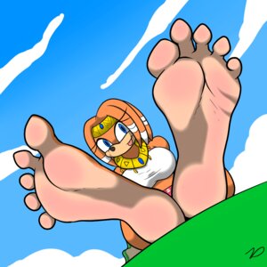 Rating: Safe Score: 0 Tags: 1:1 2014 5_toes anthro barefoot big_feet biped black_nose blue_eyes blush body_blush breasts clothed clothing cloud conditional_dnp digital_media_(artwork) e621 echidna feet female foot_blush foot_focus gold_(metal) grass humanoid_feet jewelry lightened_soles mammal midriff monotreme outside perspective plant plantigrade pose sega sitting sky smile soles solo sonic_adventure sonic_the_hedgehog_(series) tikal_the_echidna toes tongue tongue_out zp92 User: bunchy7s