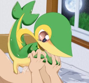 Rating: Explicit Score: 0 Tags: blush color female feral holding_hands human indoors insertion interspecies male moon night nude penis pokemon pokemon_(species) pokemon_bw pokephilia pussy rule34 scalie sex size_difference snake snivy straight tagme vulva User: bunchy7s Rating: Explicit Score: 0 Tags: blush color female feral holding_hands human indoors insertion interspecies male moon night nude penis pokemon pokemon_(species) pokemon_bw pokephilia pussy rule34 scalie sex size_difference snake snivy straight tagme vulva User: bunchy7s