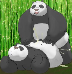Rating: Explicit Score: 0 Tags: anthro bear dreamworks giant_panda kung_fu_panda le_shang_(kung_fu_panda) male male_only master_po_ping panda po potatovodka rule34 User: bunchy7s Rating: Explicit Score: 0 Tags: anthro bear dreamworks giant_panda kung_fu_panda le_shang_(kung_fu_panda) male male_only master_po_ping panda po potatovodka rule34 User: bunchy7s