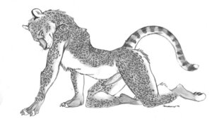 Rating: Explicit Score: 0 Tags: all_fours anthro blotch crawling e621 erection feet felid genitals humanoid_genitalia humanoid_penis leopard looking_at_viewer male mammal monochrome nude pantherine penis simple_background solo spots stripes tail tanglefoot_(artist) whiskers white_background User: bunchy7s