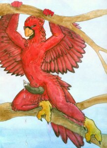 Rating: Explicit Score: 0 Tags: animal_genitalia animal_penis anthro avian balls beak bird canine_genitalia canine_penis cardinal_(bird) dripping e621 erection feathered_wings feathers genitals knot male non-mammal_balls nude oscine passerine penis plant pose ruaidri solo tree wings wood User: bunchy7s Rating: Explicit Score: 0 Tags: animal_genitalia animal_penis anthro avian balls beak bird canine_genitalia canine_penis cardinal_(bird) dripping e621 erection feathered_wings feathers genitals knot male non-mammal_balls nude oscine passerine penis plant pose ruaidri solo tree wings wood User: bunchy7s