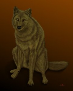 Rating: Explicit Score: 0 Tags: 4:5 amber_eyes animal_genitalia black_nose brown_body brown_fur brown_theme canid canine canis claws e621 ebon_lupus feral fluffy fluffy_tail fully_sheathed fur genitals gradient_background hi_res inner_ear_fluff male mammal nude orange_background paws quadruped sheath simple_background solo tail tuft wolf User: bunchy7s Rating: Explicit Score: 0 Tags: 4:5 amber_eyes animal_genitalia black_nose brown_body brown_fur brown_theme canid canine canis claws e621 ebon_lupus feral fluffy fluffy_tail fully_sheathed fur genitals gradient_background hi_res inner_ear_fluff male mammal nude orange_background paws quadruped sheath simple_background solo tail tuft wolf User: bunchy7s
