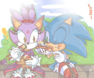 Rating: Safe Score: 0 Tags: anthro blaze_the_cat blue_body chibiirose chili_dog domestic_cat duo e621 eating eulipotyphlan felid feline felis female food hedgehog hot_dog male mammal sega sitting sonic_the_hedgehog sonic_the_hedgehog_(series) sushi User: bunchy7s