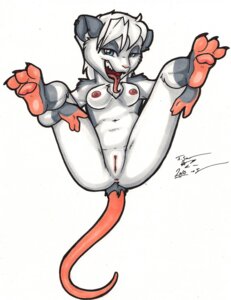 Rating: Explicit Score: 0 Tags: 2010 3_toes american_opossum anthro anus bailey_(os) biped blue_eyes breasts countershade_feet countershading e621 ear_piercing feet female genitals hair hi_res legs_up looking_at_viewer mammal marsupial nipples nude open_mouth os piercing presenting simple_background solo spread_legs spreading tail tail_anus teeth toes tongue tongue_piercing virginia_opossum vulva white_background white_hair User: bunchy7s Rating: Explicit Score: 0 Tags: 2010 3_toes american_opossum anthro anus bailey_(os) biped blue_eyes breasts countershade_feet countershading e621 ear_piercing feet female genitals hair hi_res legs_up looking_at_viewer mammal marsupial nipples nude open_mouth os piercing presenting simple_background solo spread_legs spreading tail tail_anus teeth toes tongue tongue_piercing virginia_opossum vulva white_background white_hair User: bunchy7s